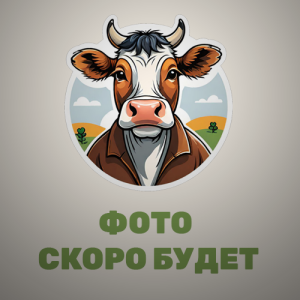 Масло сливочное